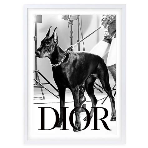 dior dog wall art.